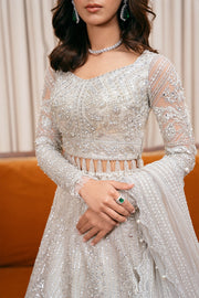 Elegant Pakistani Bridal Dress in Choli and Lehenga Style