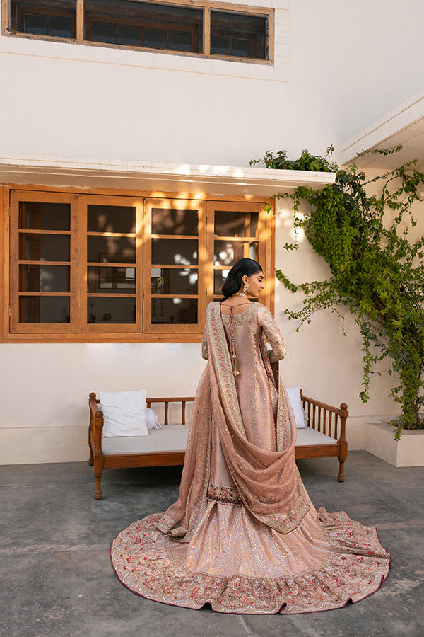 Elegant Pakistani Bridal Dress in Tea Pink Lehenga Kameez Style