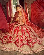 Elegant Pakistani Bridal Lehenga Choli Dress in USA