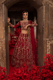 Elegant Pakistani Bridal Red Dress in Choli and Lehenga Style
