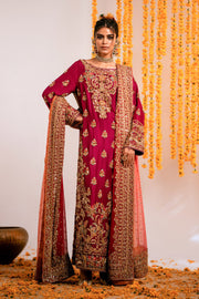 Elegant Pakistani Wedding Dress in Long Kameez Style Online