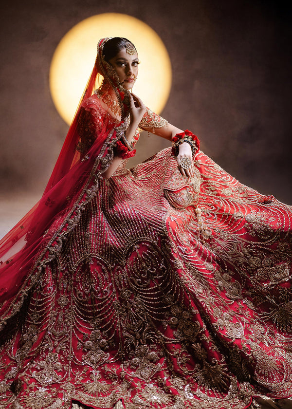Elegant Red Lehenga Choli and Dupatta Bridal Wedding Dress