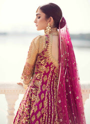 Elegant Bridal Lehenga in Pink Colors Wears For Bridal