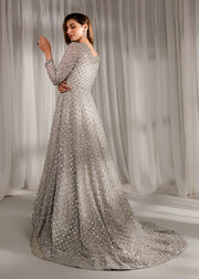 Elegant Pakistani Bridal Dress Silver Gown Lehenga and Veil