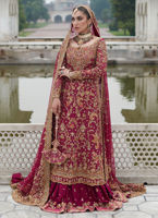 Elegant Pakistani Bridal Lehenga for Wedding