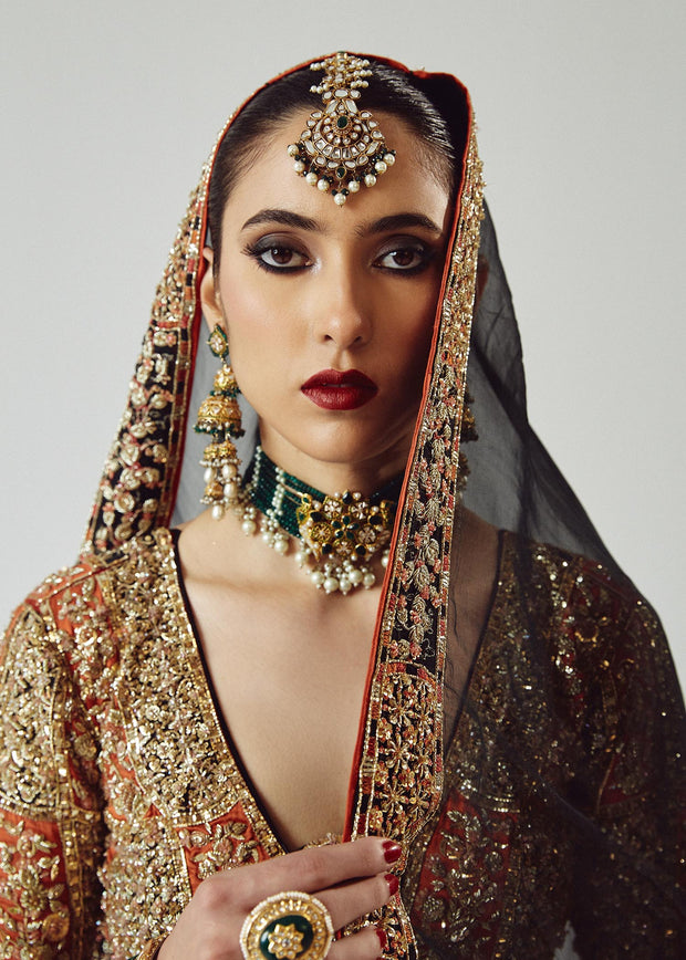 Embellished Black Lehenga with Choli and Dupatta Dress