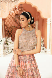 Embellished Choli Lehenga Pakistani Wedding Dress