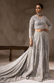 Embellished Lehenga and Choli Pakistani Bridal Dress