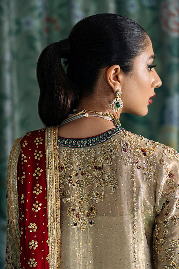 Embellished Pakistani Wedding Dress in Premium Tissue Online