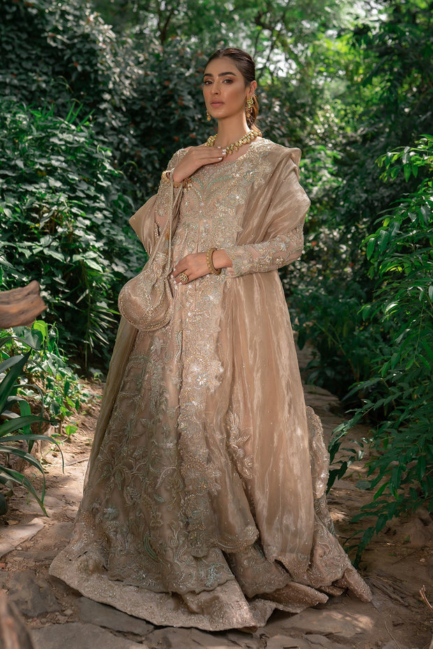 Embellished Pakistani Bridal Dress Brown Pishwas and Long Dresses