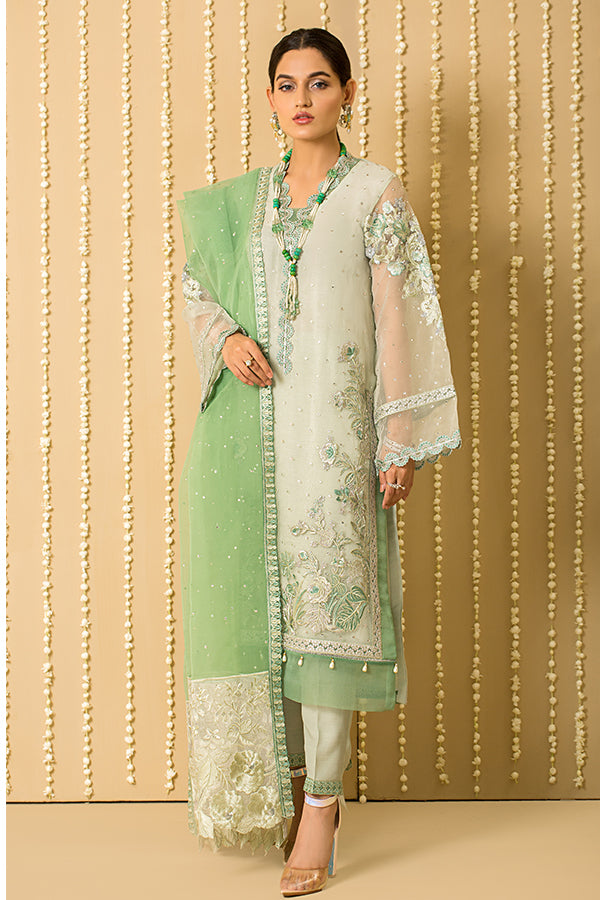 Embroidered Organza Pakistani Salwar Kameez and Dupatta