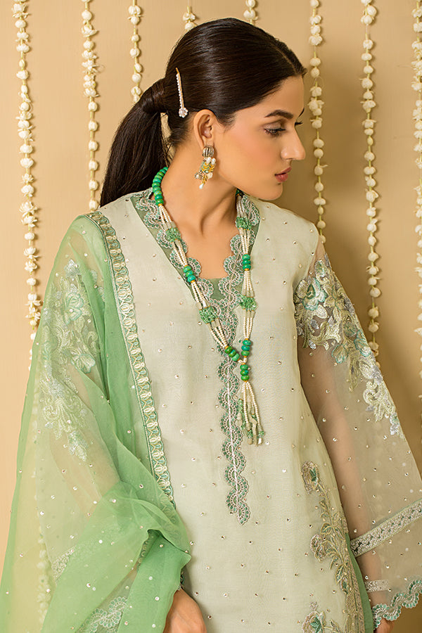 Embroidered Organza Pakistani Salwar Kameez and Dupatta Online