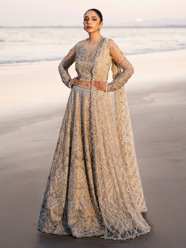 Shop Elegant Pakistani Bridal Lehenga and Choli Ensemble