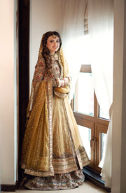 Elegant Yellow Pakistani Bridal Dress with Embroidered Details