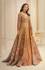 HSY Pakistani Bridal Dress in Gown Style
