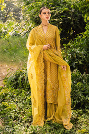Heavily Embellished Yellow Pakistani Salwar Kameez Dupatta Salwar Suit
