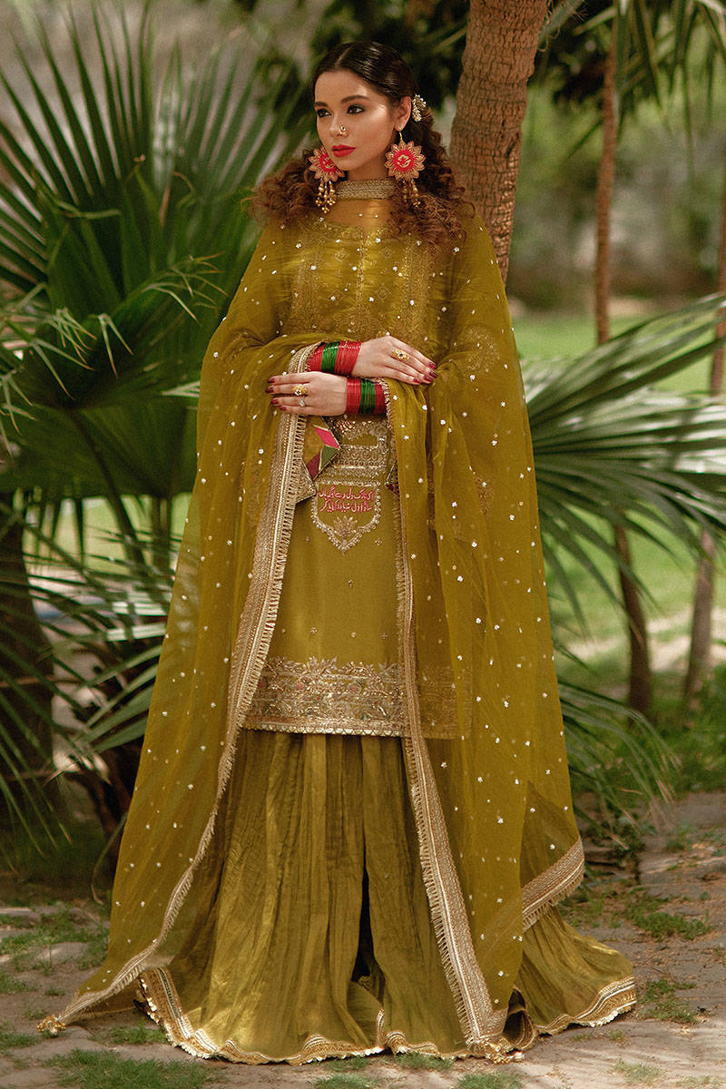 green emerald velvet dress Green Sharara Set – Rimple & Harpreet main image 0