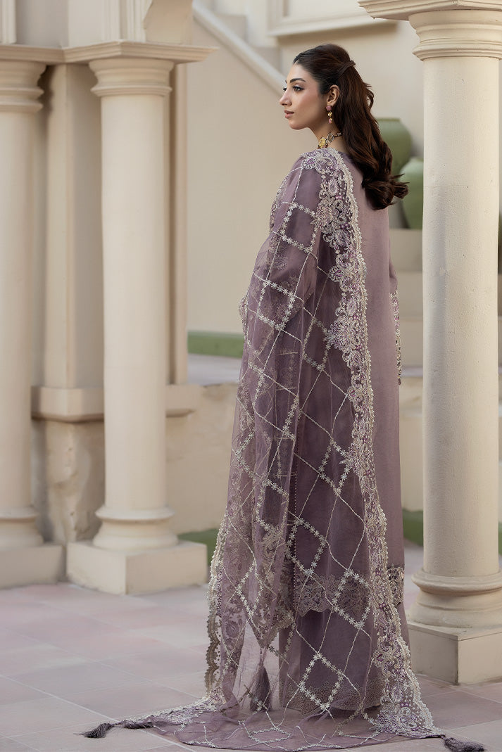 Elegant Embroidered Raw Silk Pakistani Eid Dress