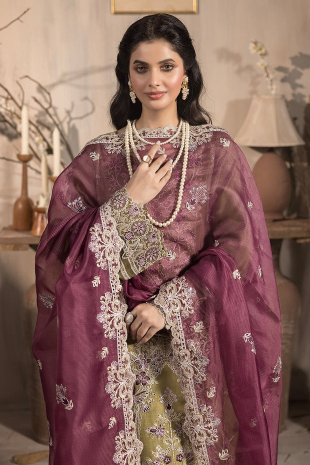 Imrozia Viscose Pakistani Dresses Explore