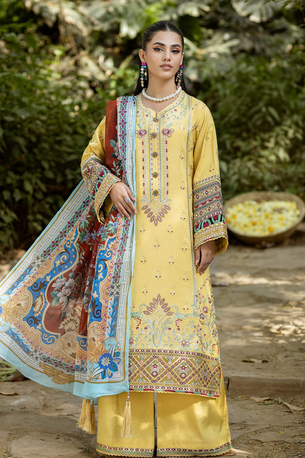 Embroidered Organza Gown With Dupatta 305E