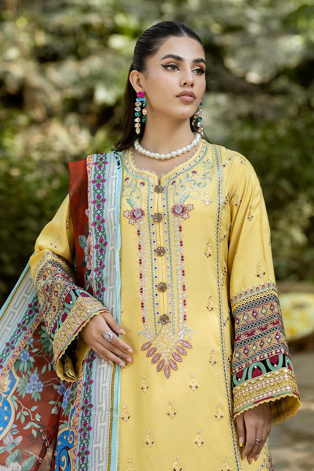 Embroidered Organza Gown With Dupatta 305E