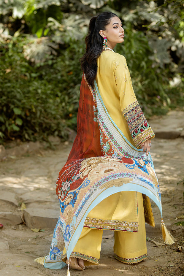 Embroidered Organza Gown With Dupatta 305E