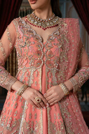 Elegant Pakistani Bridal Dress with Exquisite Embroidery