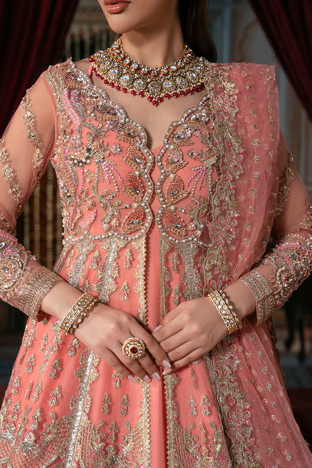 Elegant Pakistani Bridal Dress with Exquisite Embroidery