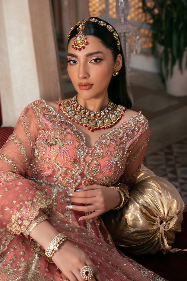 Elegant Pakistani Bridal Dress with Exquisite Embroidery