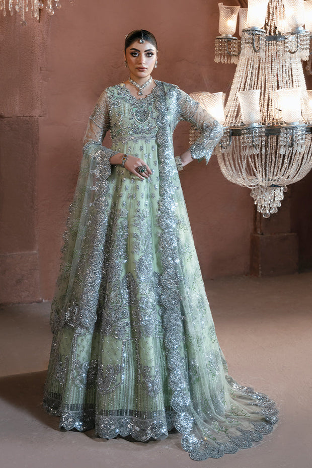 Elegant Pakistani Bridal Dress with Stunning Embroidery
