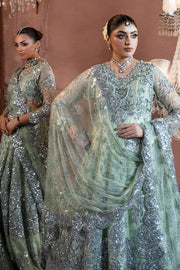 Elegant Pakistani Bridal Dress with Stunning Embroidery