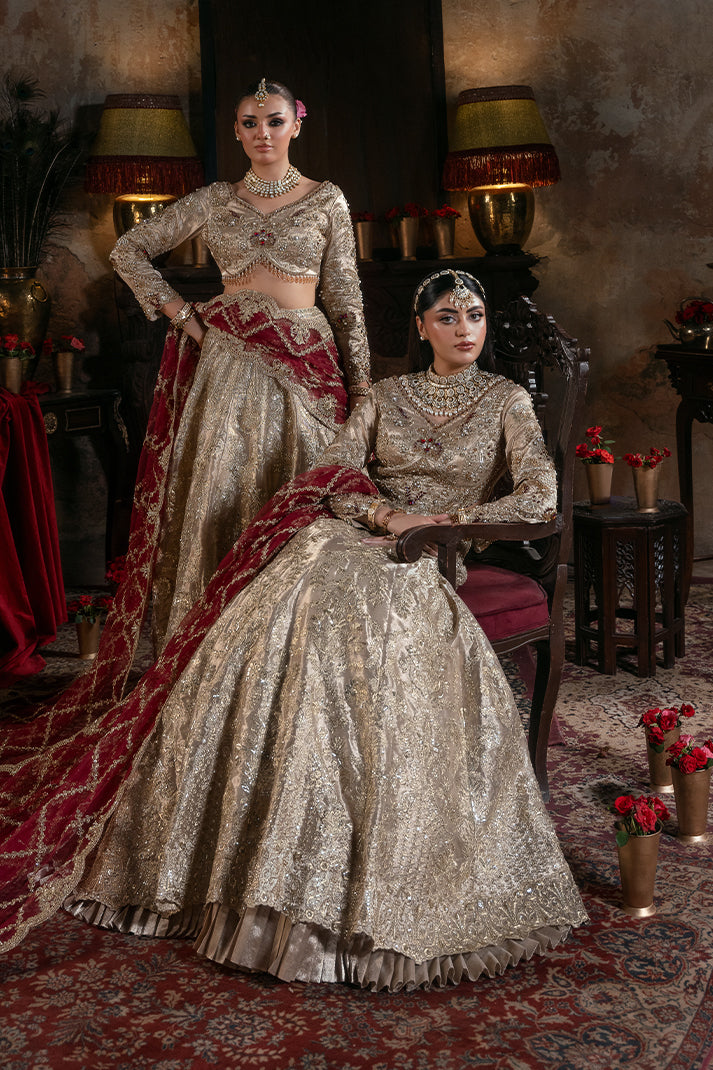 Elegant Pakistani Bridal Dress with Handmade Embellishments
