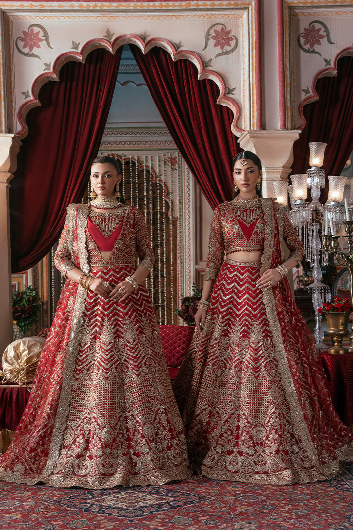 Elegant Embroidered Net Pakistani Bridal Dress for You