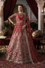 Elegant Embroidered Net Pakistani Bridal Dress for You
