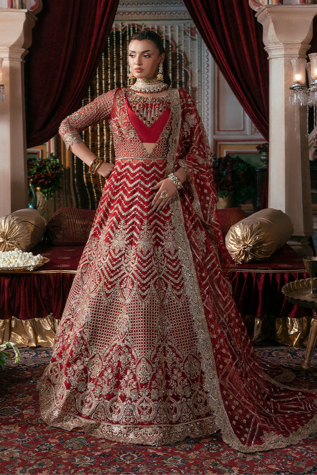 Elegant Embroidered Net Pakistani Bridal Dress for You