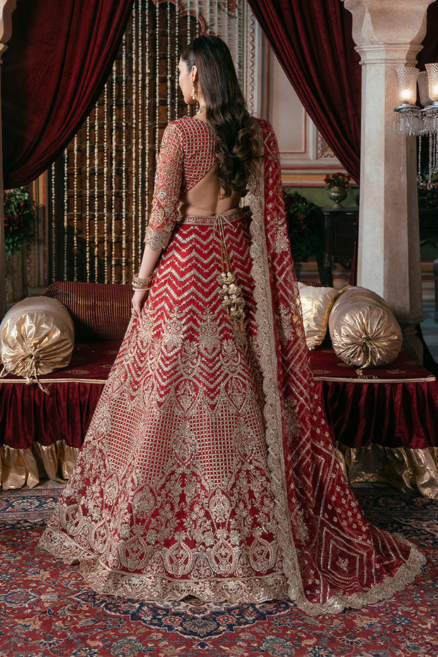 Elegant Embroidered Net Pakistani Bridal Dress for You