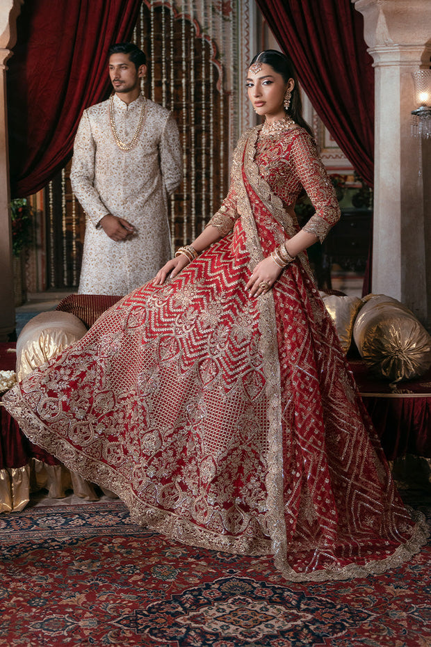 Elegant Embroidered Net Pakistani Bridal Dress for You