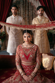 Elegant Embroidered Net Pakistani Bridal Dress for You