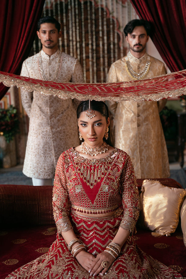 Elegant Embroidered Net Pakistani Bridal Dress for You