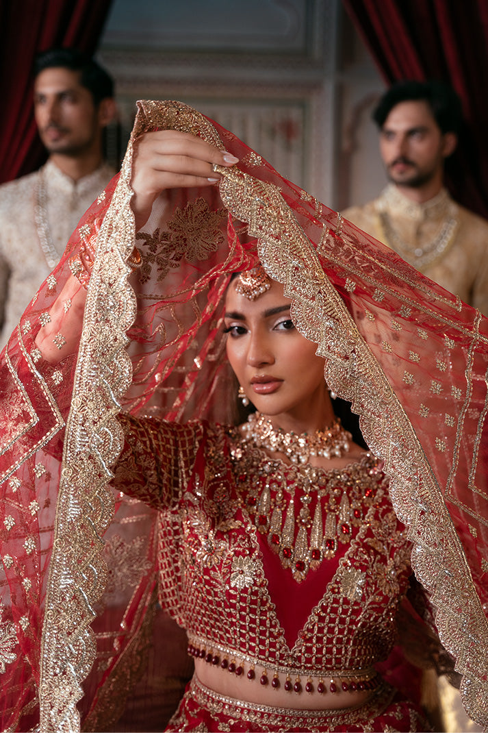 Elegant Embroidered Net Pakistani Bridal Dress for You