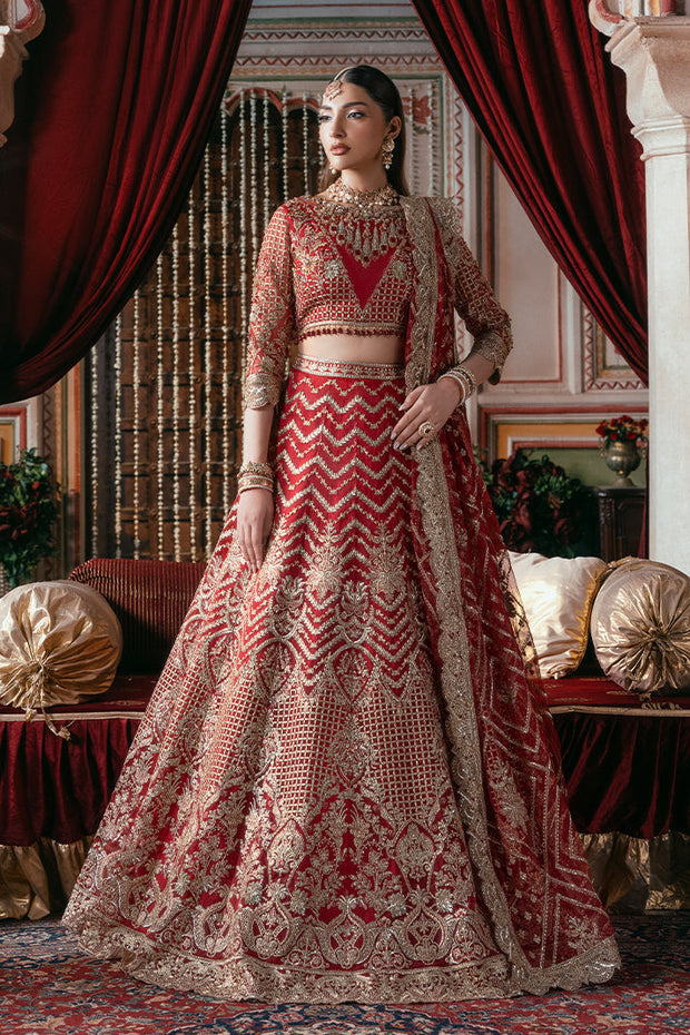 Elegant Embroidered Net Pakistani Bridal Dress for You
