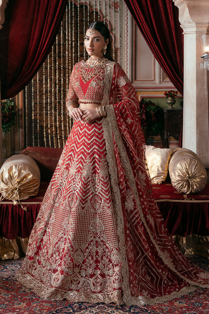 Elegant Embroidered Net Pakistani Bridal Dress for You