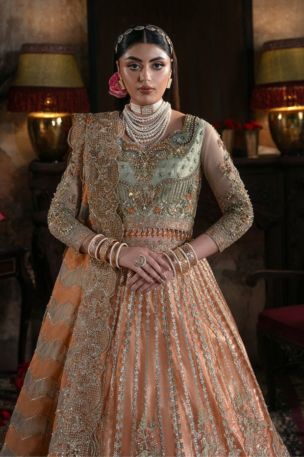 Embroidered Organza Pakistani Bridal Dress with Embellishment
