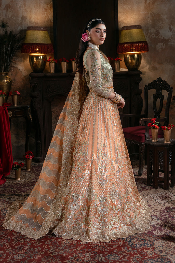 Embroidered Organza Pakistani Bridal Dress with Embellishment