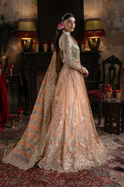 Embroidered Organza Pakistani Bridal Dress with Embellishment