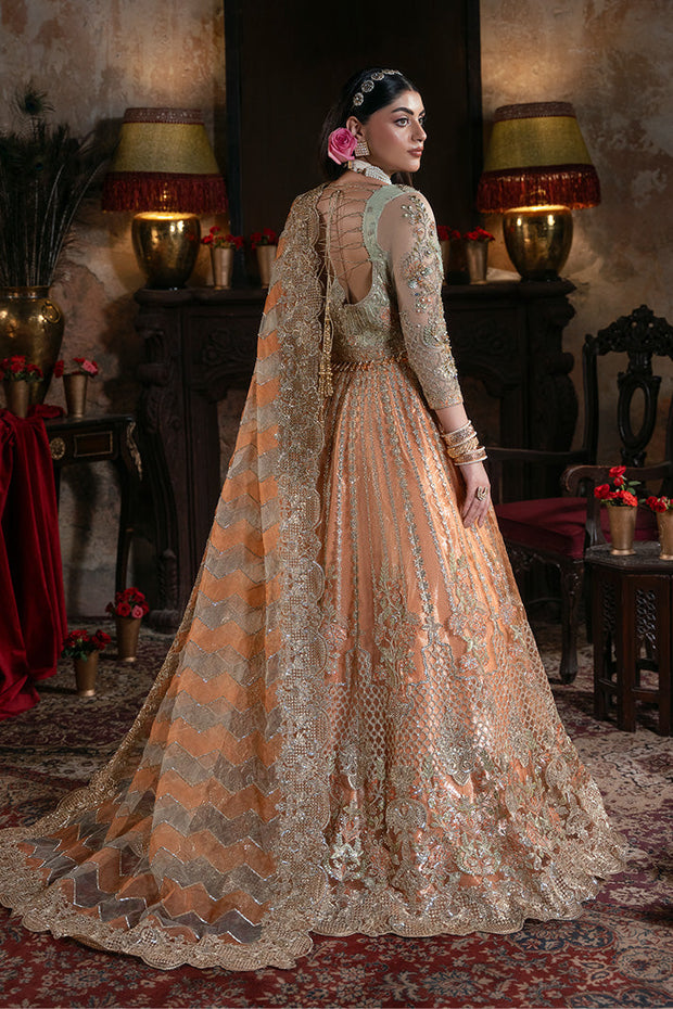 Embroidered Organza Pakistani Bridal Dress with Embellishment