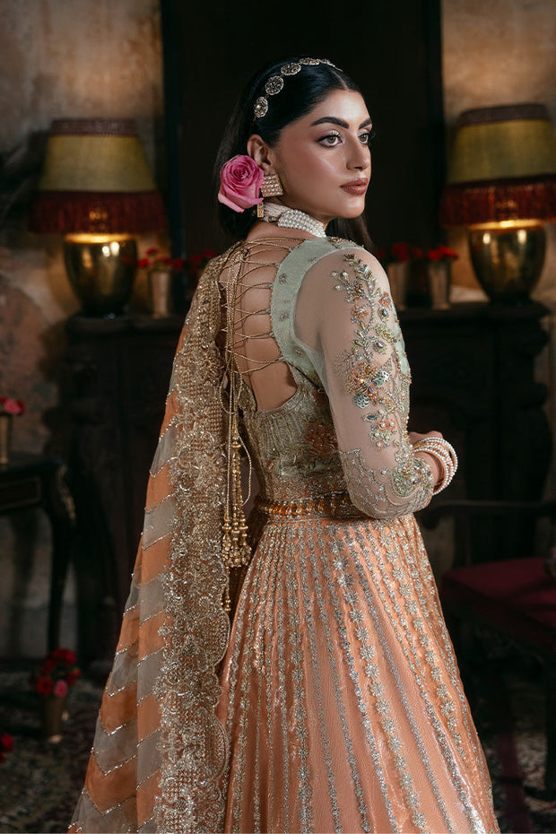 Embroidered Organza Pakistani Bridal Dress with Embellishment