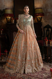 Embroidered Organza Pakistani Bridal Dress with Embellishment