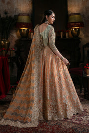 Embroidered Organza Pakistani Bridal Dress with Embellishment