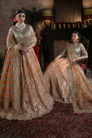 Embroidered Organza Pakistani Bridal Dress with Embellishment